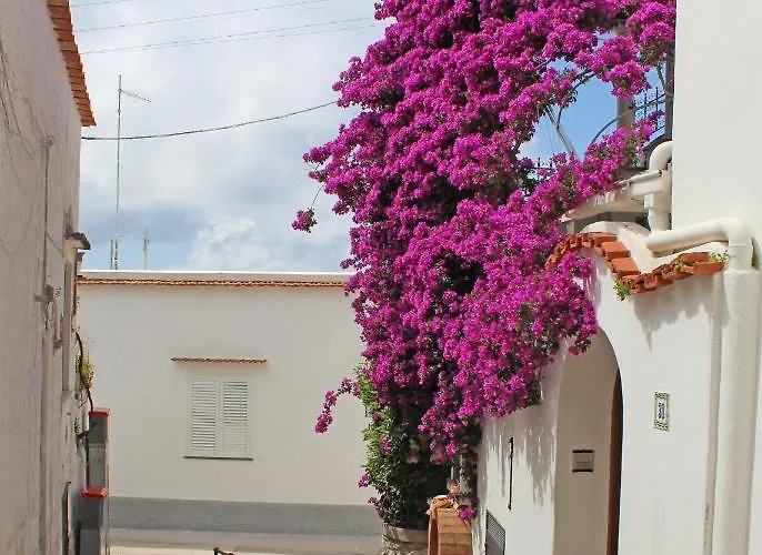 Frühstückspension Casa Angelina 4*